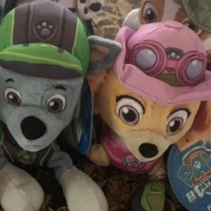 Meet your Posher, Jasmine